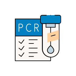 SnapRt Pcr